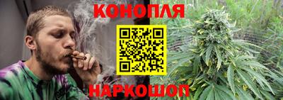 крисы Пыть-Ях