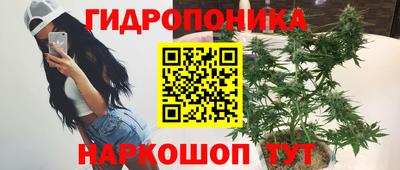 крисы Пушкино