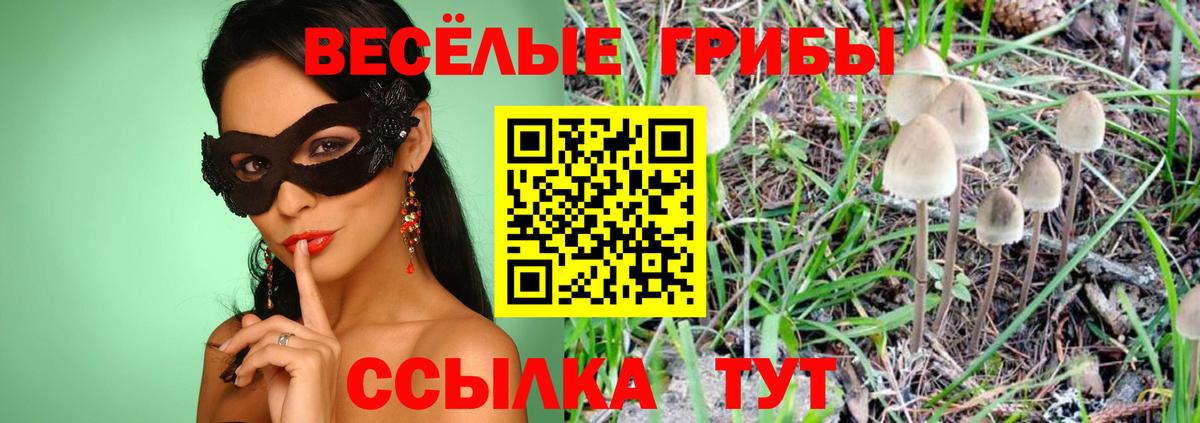Псилоцибиновые грибы MAGIC MUSHROOMS  Вход с VPN  Самара 